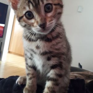 Meet your Posher, Marie